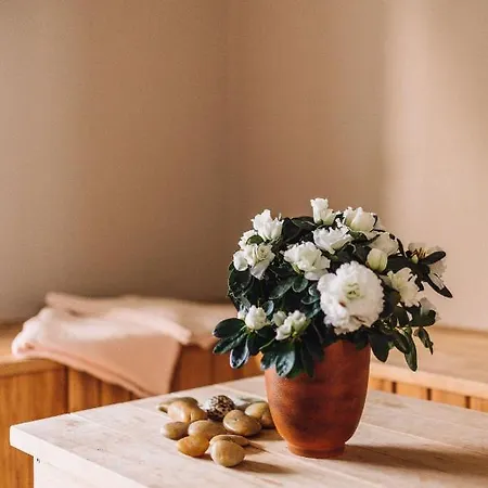 Kevade With Sauna 4*