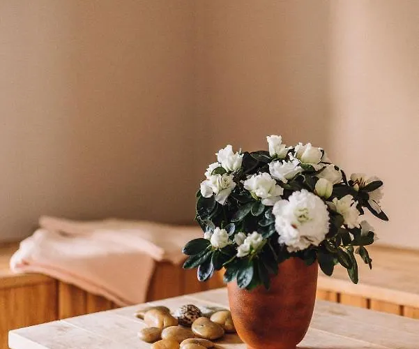 Kevade With Sauna 4*